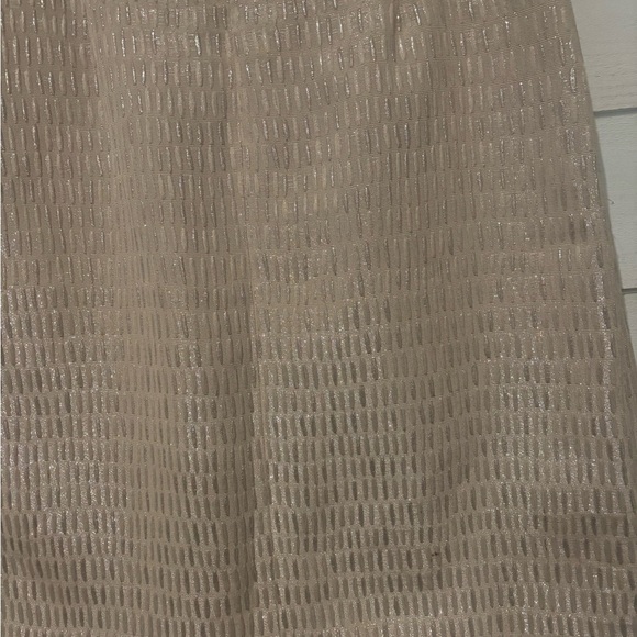 Talbots NWT Shimmering Beige Pencil Skirt in size 8 - Picture 6 of 16